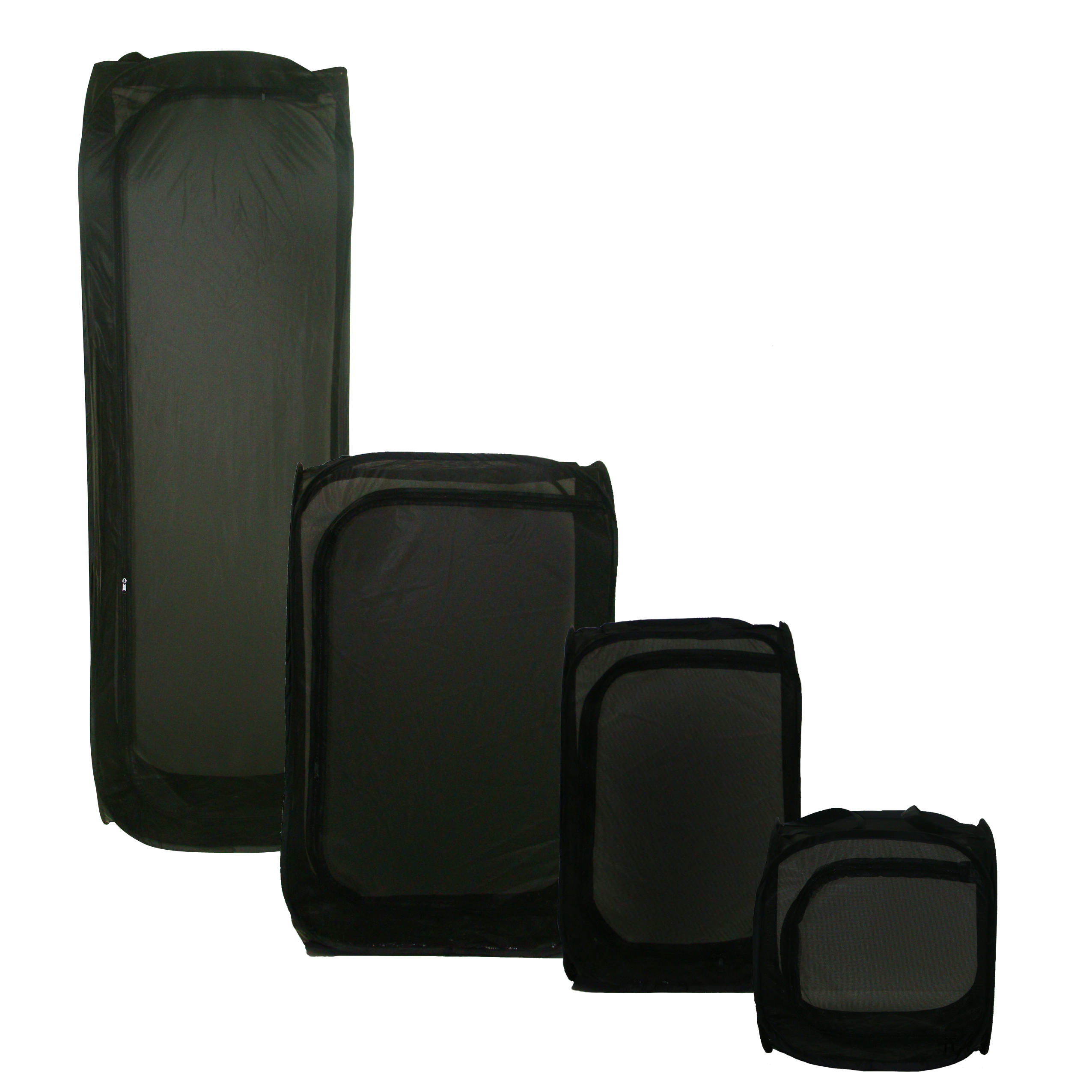 eXplorer Butterfly Terrarium Pop Up