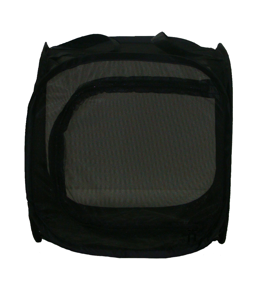 eXplorer Butterfly Terrarium Pop Up